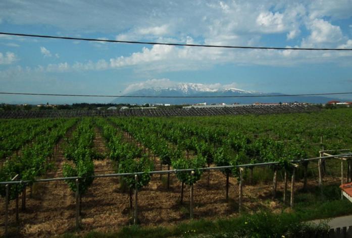 Bonaventura B&B And Bonaventura Food Tollo Dış mekan fotoğraf